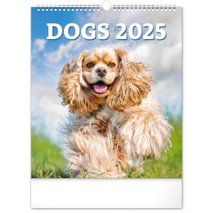 Falinaptr Dogs 2024, 30  34 cm (naptr)