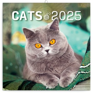 Lemeznaptr Cats 2024, 30  30 cm (naptr)